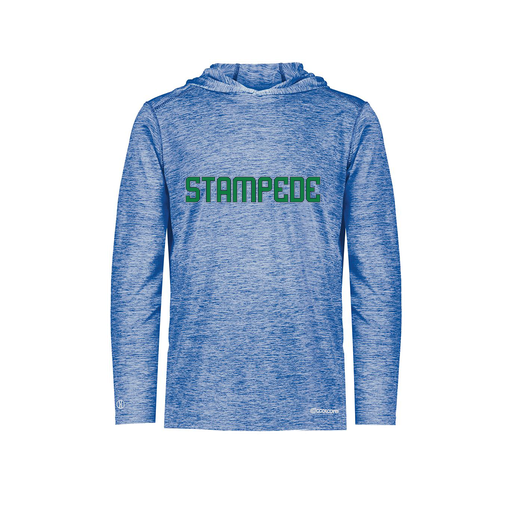 [FOLHCGRY-AS-LOGO3] Decker Men's Charge Hoodie (Adult S, Royal, Logo 3)