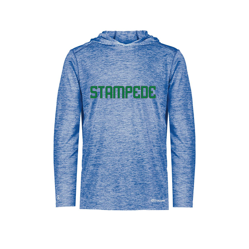 [FOLHCGRY-YS-LOGO3] Decker Youth Charge Hoodie (Youth S, Royal, Logo 3)